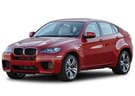 Коврики на BMW X6 (E71/E72) 2008 - 2014 в Костроме