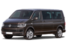 Коврики на Volkswagen Caravelle (T6) 2015 - 2019 в Костроме