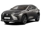 Коврики на Lexus NX II 2021 - 2024 в Костроме