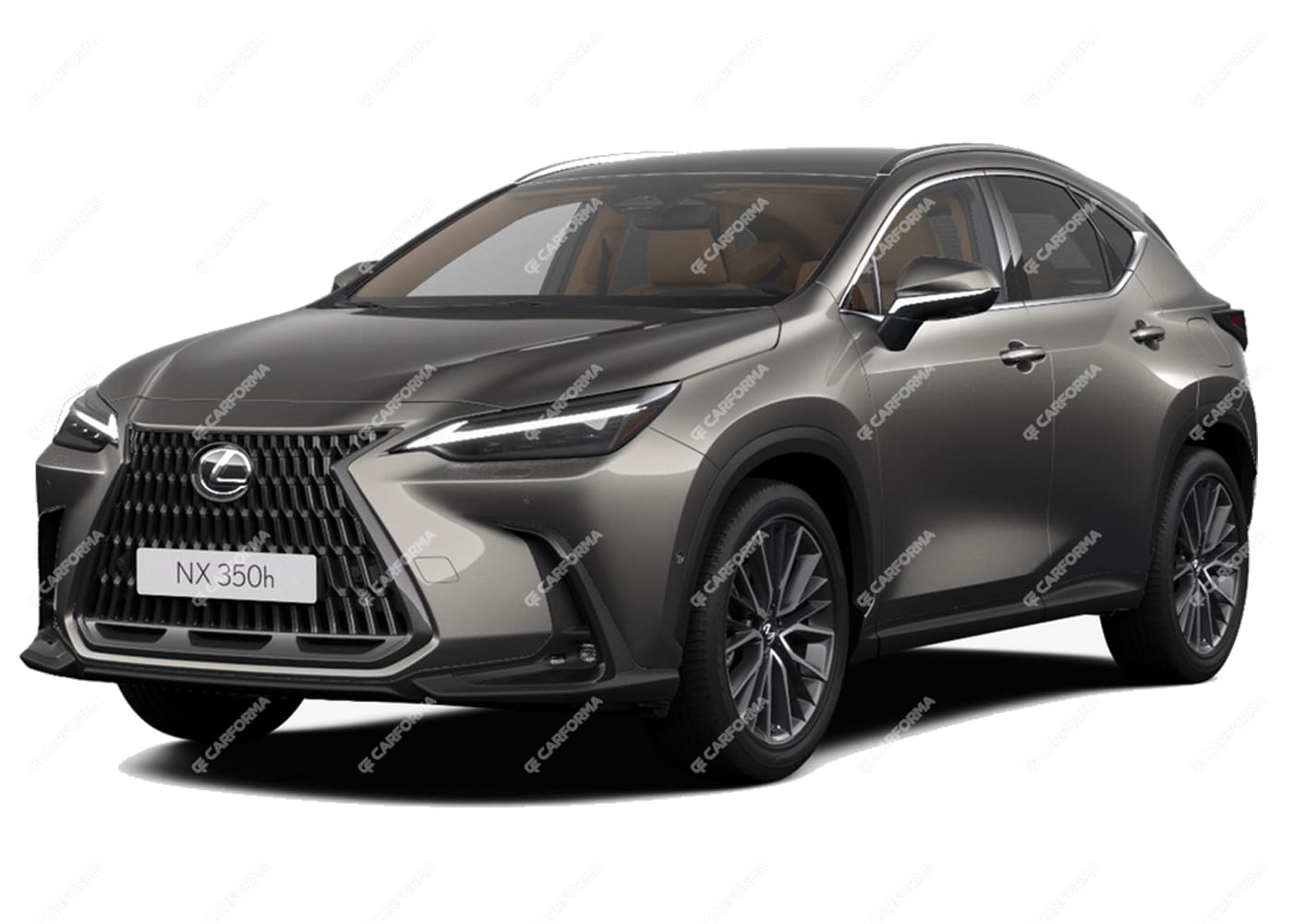 Коврики на Lexus NX II 2021 - 2024