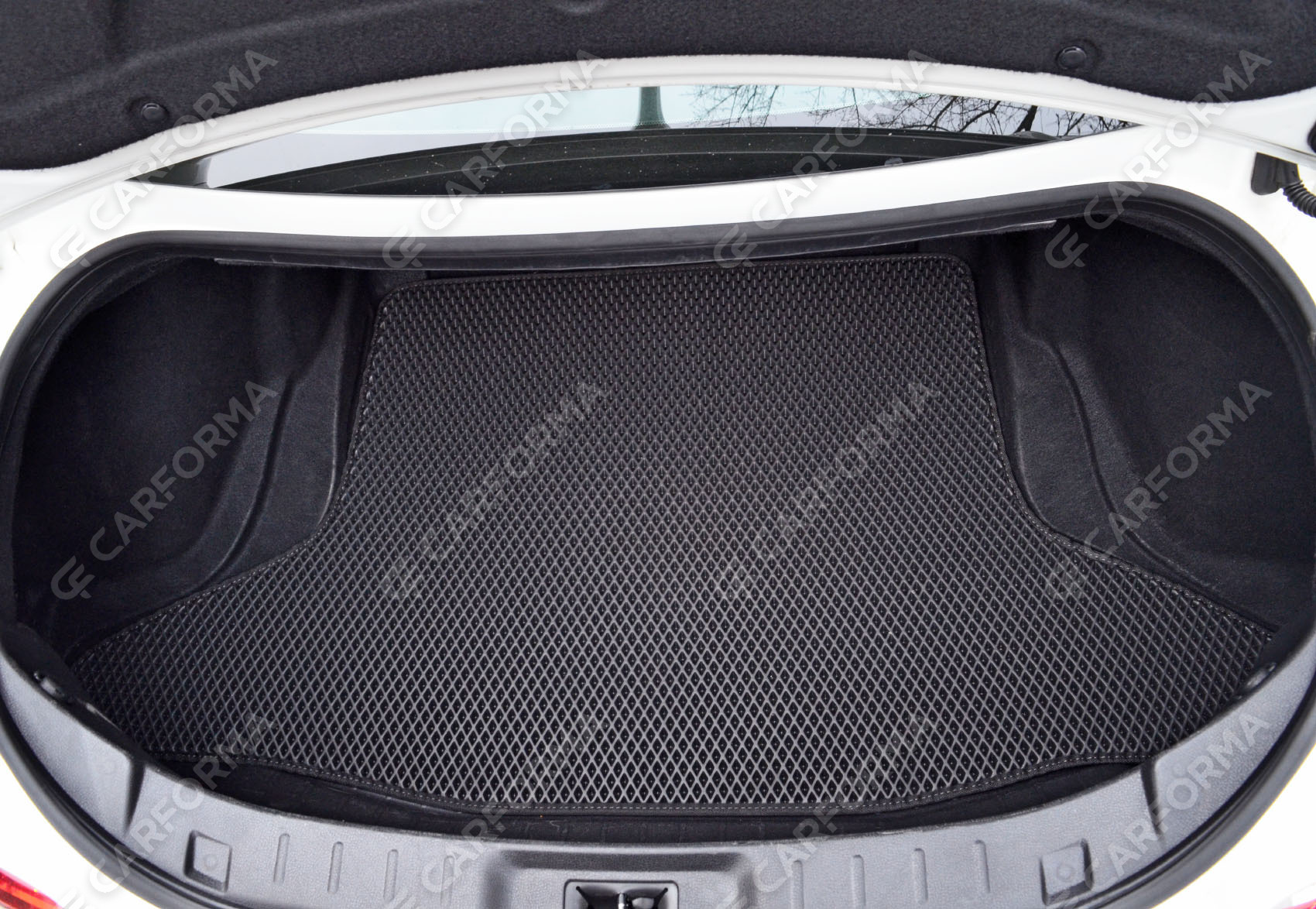 Коврики на Nissan GT-R 2007&nbsp;-&nbsp;2026 в Костроме