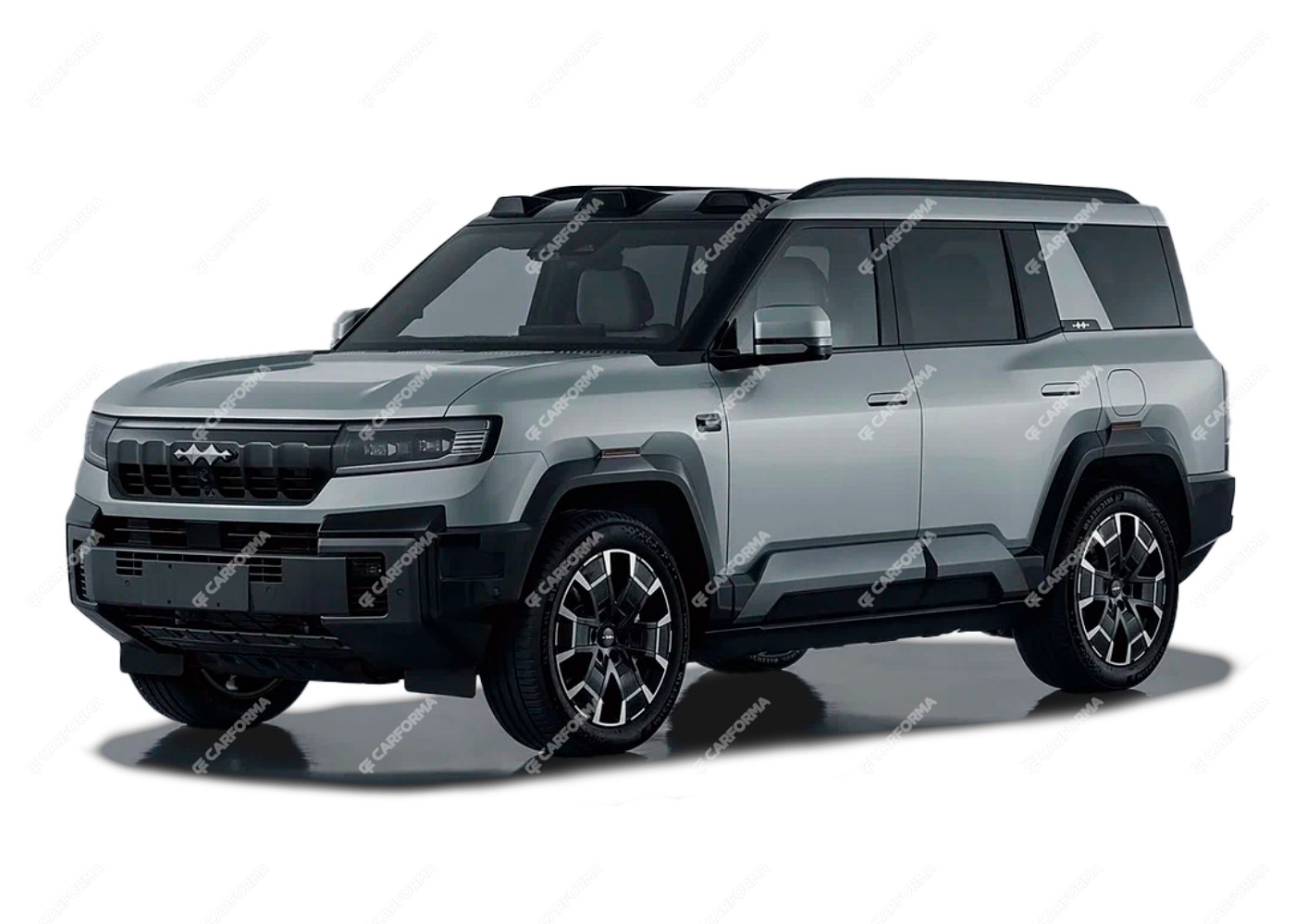 Ворсовые коврики на BYD Leopard 8 2024&nbsp;-&nbsp;2025 в Костроме