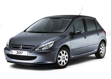 EVA коврики на Peugeot 307 2001 - 2008 в Костроме