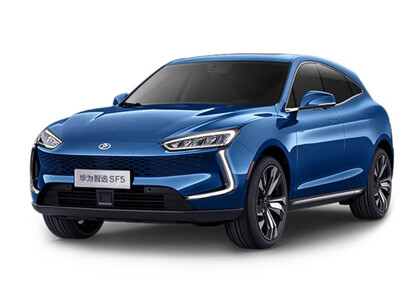 Ворсовые коврики на Seres SF5 2019&nbsp;-&nbsp;2022 в Костроме