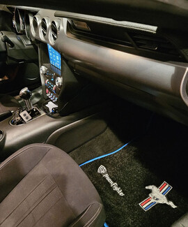 Коврики на Ford Mustang VI 2013&nbsp;-&nbsp;2023 в Костроме