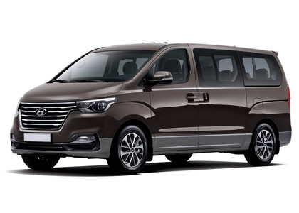 Ворсовые коврики на Hyundai H1 II 2007 - 2022 в Костроме