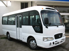 Коврики на Hyundai County 2006 - 2016 в Костроме