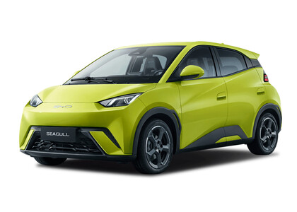 Коврики на BYD Seagull 1 2023&nbsp;-&nbsp;2026 в Костроме