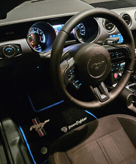 Коврики на Ford Mustang VI 2013&nbsp;-&nbsp;2023 в Костроме