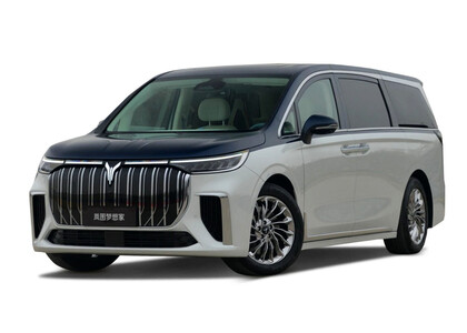 Коврики на Voyah Dream 2021&nbsp;-&nbsp;2026 в Костроме