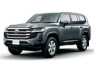 Ворсовые коврики на Toyota Land Cruiser 300 2021 - 2025 в Костроме